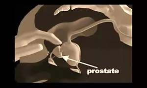 Mattina Lama porno quarantenne