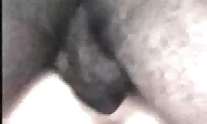 Banana è puttane amatoriali un grande ragazzo che è corneo